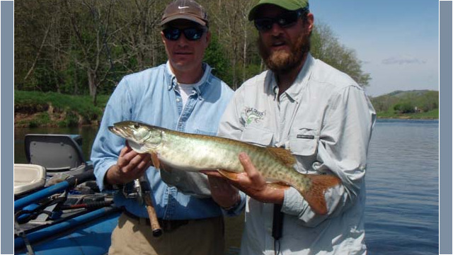 musky12