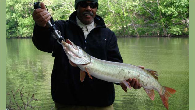 musky17