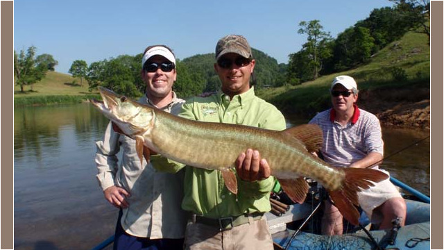 musky31