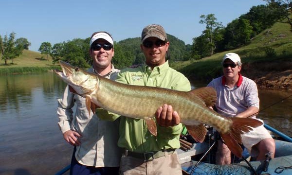 musky31