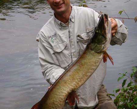 Musky Fishing - Elk Creek Outfitters - Guided Fly Fishing Trips Near Boone